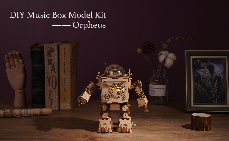 DIY Music Box Model Kit