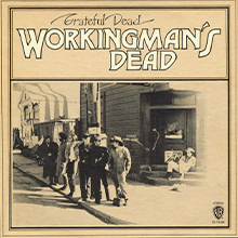 Grateful Dead, Skull, Roses, Berth, Skeleton, Jam Band, Psychedelic, Jerry Garcia, Weir, Lesh