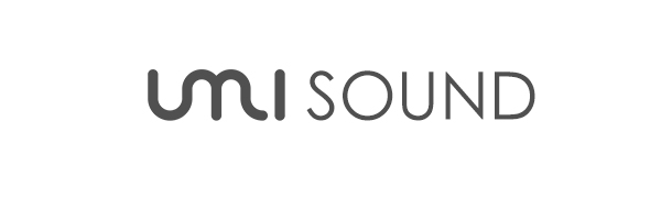 Umi voltage converter 