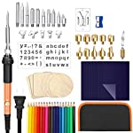 69Pcs Wood Burning Kit,60W Pyrography Pen Set with Adjust Temp Switch 200~450 ℃, Wood Burner Tool-Embossing,Carving,Soldering Tips,Stencils,Color Pencils,Carbon,Holder,Case,Gifts for Men Dad Him