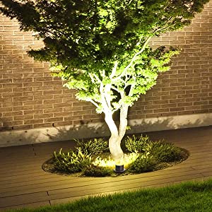 tree lights