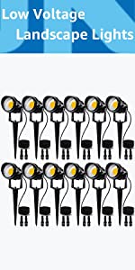Landscape lights