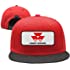 AOAOAOUV Truck Driver Professional Unisex Cotton Breathable Adjustable Baseball Cap Massey-Ferguson-4-Walking The GOG